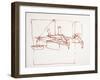 Leonardo 99 (drawing)-Ralph Steadman-Framed Giclee Print