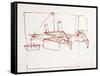 Leonardo 99 (drawing)-Ralph Steadman-Framed Stretched Canvas