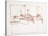 Leonardo 99 (drawing)-Ralph Steadman-Stretched Canvas