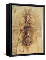 Leonardo: Anatomy, C1510-Leonardo da Vinci-Framed Stretched Canvas