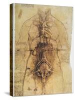 Leonardo: Anatomy, C1510-Leonardo da Vinci-Stretched Canvas