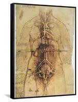 Leonardo: Anatomy, C1510-Leonardo da Vinci-Framed Stretched Canvas