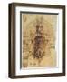 Leonardo: Anatomy, C1510-Leonardo da Vinci-Framed Giclee Print