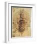 Leonardo: Anatomy, C1510-Leonardo da Vinci-Framed Giclee Print