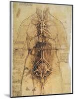 Leonardo: Anatomy, C1510-Leonardo da Vinci-Mounted Giclee Print