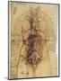 Leonardo: Anatomy, C1510-Leonardo da Vinci-Mounted Giclee Print