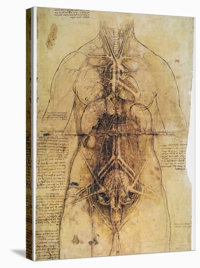 Leonardo: Anatomy, C1510-Leonardo da Vinci-Stretched Canvas