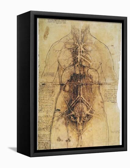 Leonardo: Anatomy, C1510-Leonardo da Vinci-Framed Stretched Canvas