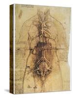 Leonardo: Anatomy, C1510-Leonardo da Vinci-Stretched Canvas