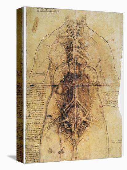 Leonardo: Anatomy, C1510-Leonardo da Vinci-Stretched Canvas