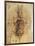 Leonardo: Anatomy, C1510-Leonardo da Vinci-Framed Giclee Print