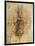 Leonardo: Anatomy, C1510-Leonardo da Vinci-Framed Giclee Print