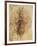 Leonardo: Anatomy, C1510-Leonardo da Vinci-Framed Giclee Print