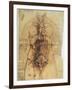 Leonardo: Anatomy, C1510-Leonardo da Vinci-Framed Giclee Print