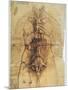 Leonardo: Anatomy, C1510-Leonardo da Vinci-Mounted Giclee Print