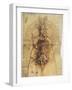 Leonardo: Anatomy, C1510-Leonardo da Vinci-Framed Giclee Print