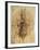 Leonardo: Anatomy, C1510-Leonardo da Vinci-Framed Giclee Print