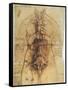 Leonardo: Anatomy, C1510-Leonardo da Vinci-Framed Stretched Canvas