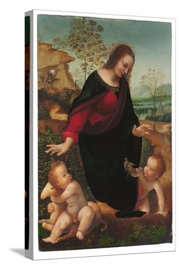 Stretched Canvas Print, , large