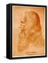 Leonardo Da Vinci, 1884-90-null-Framed Stretched Canvas
