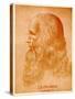 Leonardo Da Vinci, 1884-90-null-Stretched Canvas