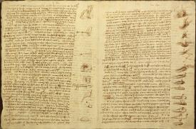 Codex Da Vinci Posters Prints Paintings Amp Wall Art For