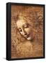 Leonardo Da Vinci (Female Head, La Scapigliata) Art Poster Print  Art Poster Print-null-Framed Poster