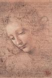 Da Vinci, Leda and the Swan-Leonardo da Vinci-Giclee Print