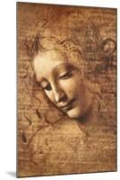 Leonardo Da Vinci (Female Head, La Scapigliata)-null-Mounted Art Print