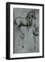 Leonardo da Vinci (Horse trials) Plastic Sign-Leonardo da Vinci-Framed Premium Giclee Print