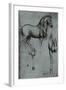 Leonardo da Vinci (Horse trials) Plastic Sign-Leonardo da Vinci-Framed Art Print
