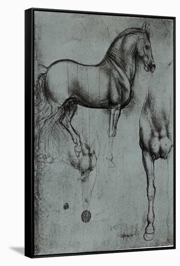 Leonardo da Vinci (Horse trials) Plastic Sign-Leonardo da Vinci-Framed Stretched Canvas