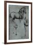 Leonardo da Vinci (Horse trials) Plastic Sign-Leonardo da Vinci-Framed Art Print