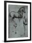 Leonardo da Vinci (Horse trials) Plastic Sign-Leonardo da Vinci-Framed Art Print