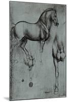 Leonardo da Vinci (Horse trials) Plastic Sign-Leonardo da Vinci-Mounted Art Print