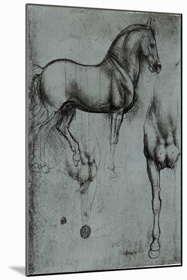 Leonardo da Vinci (Horse trials) Plastic Sign-Leonardo da Vinci-Mounted Art Print