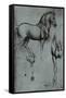 Leonardo da Vinci (Horse trials) Plastic Sign-Leonardo da Vinci-Framed Stretched Canvas