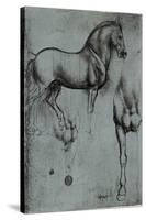 Leonardo da Vinci (Horse trials) Plastic Sign-Leonardo da Vinci-Stretched Canvas