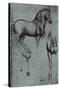 Leonardo da Vinci (Horse trials) Plastic Sign-Leonardo da Vinci-Stretched Canvas