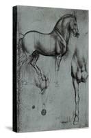 Leonardo da Vinci (Horse trials) Plastic Sign-Leonardo da Vinci-Stretched Canvas