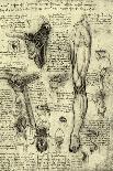 Vitruvian Man-Leonardo da Vinci-Art Print