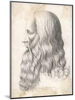 Leonardo Da Vinci Italian Artist: Self-Portrait in Profile-null-Mounted Art Print