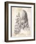 Leonardo Da Vinci Italian Artist: Self-Portrait in Profile-null-Framed Art Print