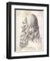 Leonardo Da Vinci Italian Artist: Self-Portrait in Profile-null-Framed Art Print