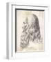 Leonardo Da Vinci Italian Artist: Self-Portrait in Profile-null-Framed Art Print