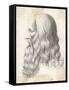 Leonardo Da Vinci Italian Artist: Self-Portrait in Profile-null-Framed Stretched Canvas