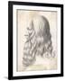 Leonardo Da Vinci Italian Artist: Self-Portrait in Profile-null-Framed Art Print