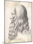 Leonardo Da Vinci Italian Artist: Self-Portrait in Profile-null-Mounted Art Print