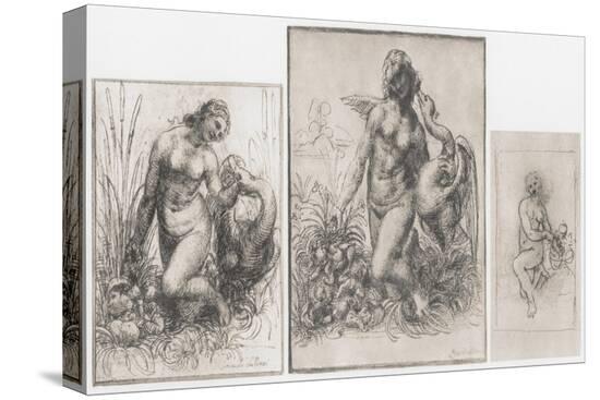 Stretched Canvas Print, , large