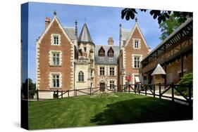 Leonardo da Vinci's House and Museum, Clos Luce, Amboise, Indre-Et-Loire, Loire Valley, France-Peter Richardson-Stretched Canvas